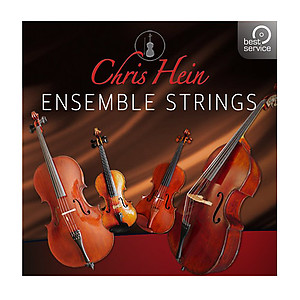 Best Service - Chris Hein Ensemble Strings